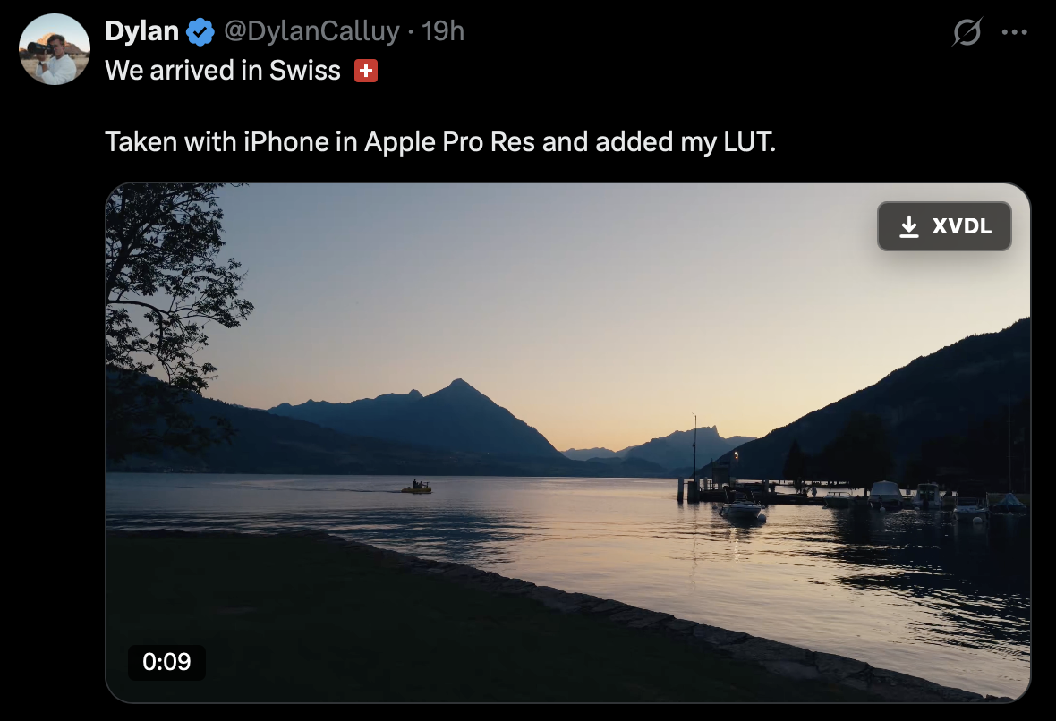 The XVDL download control on an X video post