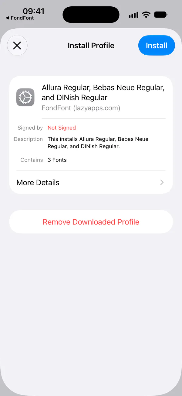 The Install Profile screen in iOS Settings. Install is in the top-right corner.